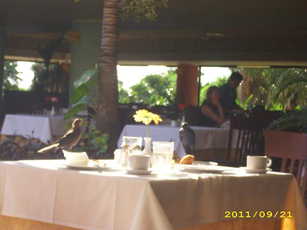 ai1269.photobucket.com_albums_jj592_BrunoMachado7_IMG_0028.jpg