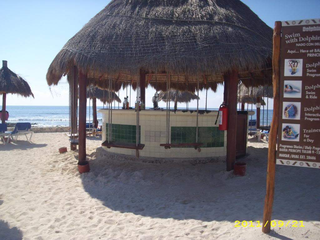 ai1269.photobucket.com_albums_jj592_BrunoMachado7_IMG_0037.jpg