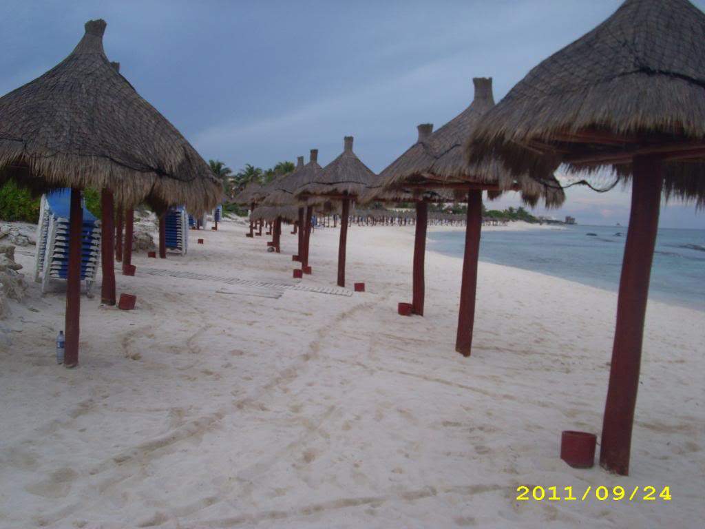 ai1269.photobucket.com_albums_jj592_BrunoMachado7_IMG_0127.jpg