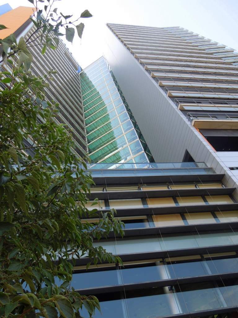 ai1274.photobucket.com_albums_y440_andrademarialuisa_DSCN7692_zpskqcp9zph.jpg