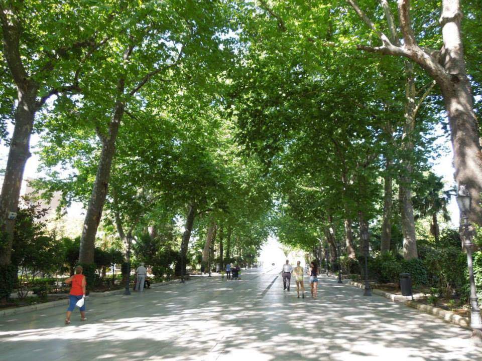 ai1274.photobucket.com_albums_y440_andrademarialuisa_Facebook_3b7014b160e4153f45a43517e682872b.jpg