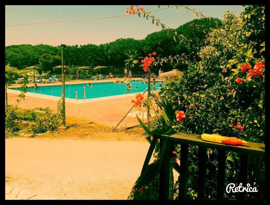 ai1274.photobucket.com_albums_y440_andrademarialuisa_Facebook_44ff943c83aaafaba74c7d12653ff03b.jpg