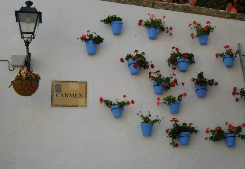 ai1274.photobucket.com_albums_y440_andrademarialuisa_Facebook_91e9764f59150505ebb1c0ea8e92fc28.jpg