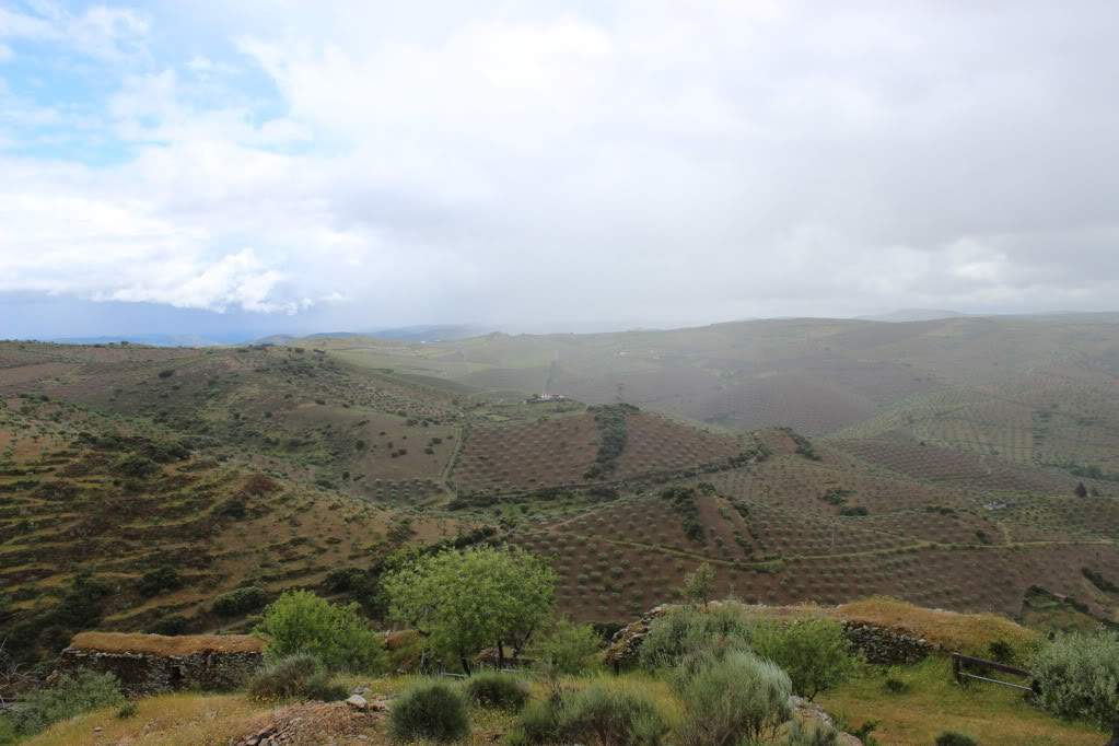 ai1275.photobucket.com_albums_y446_Aranha74_IMG_1450_zps01b69828.jpg