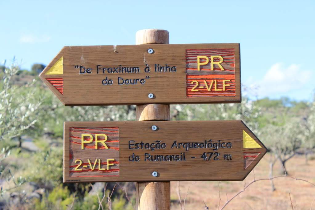 ai1275.photobucket.com_albums_y446_Aranha74_IMG_1542_zpsa0cf463d.jpg