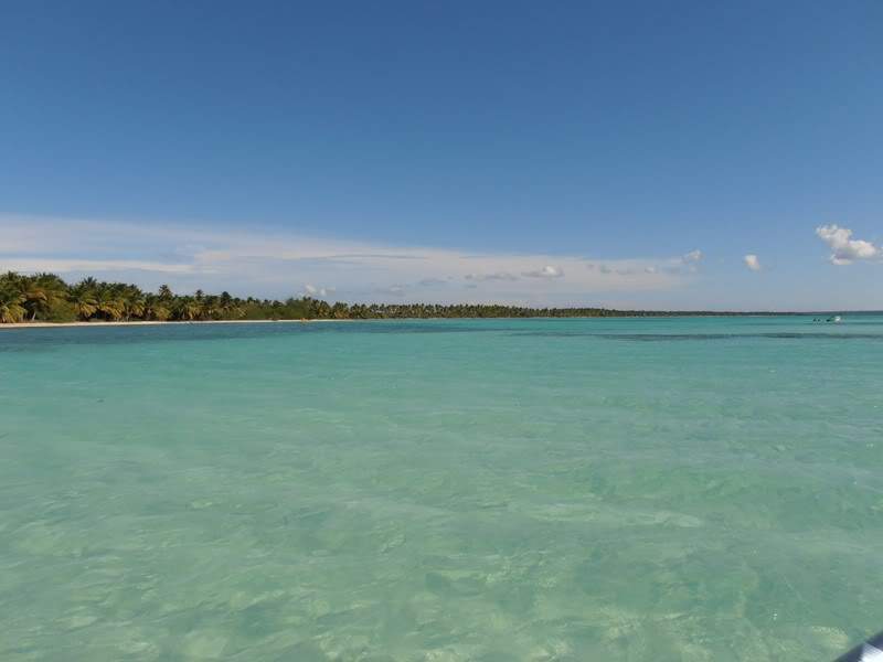 ai1275.photobucket.com_albums_y446_Aranha74_PA100179Cpia_zps4ed0cbd6.jpg