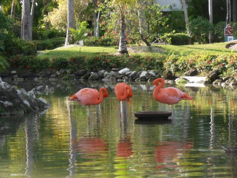 ai1275.photobucket.com_albums_y446_Aranha74_PA140300Cpia_zps6b2feadc.jpg