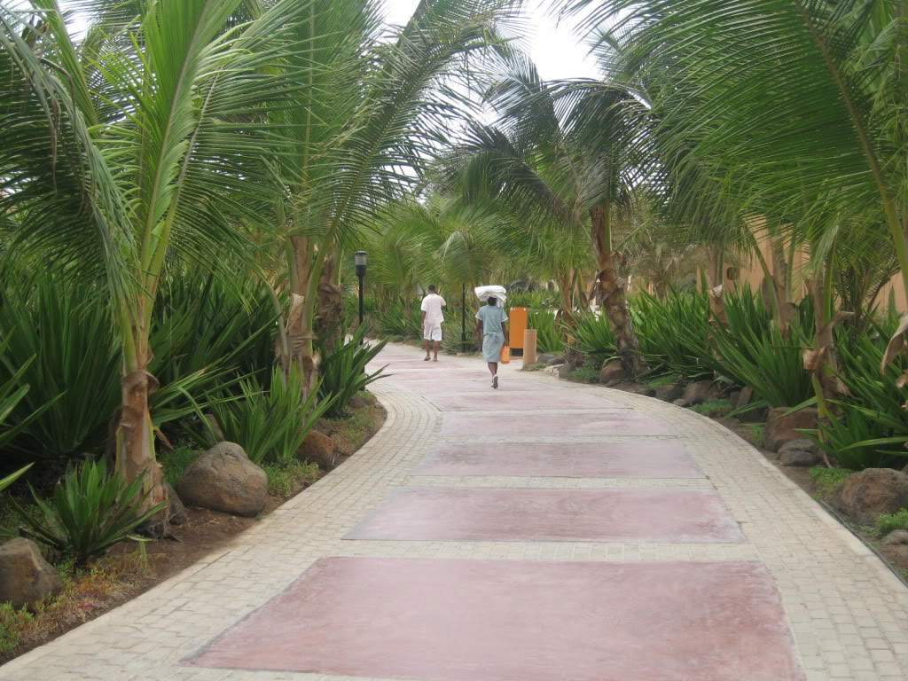 ai1277.photobucket.com_albums_y481_zzahir1977_IMG_4029_zpsefb79666.jpg