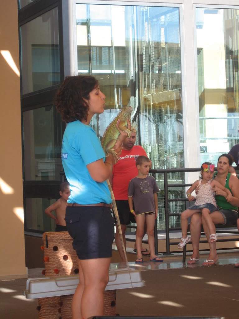 ai1277.photobucket.com_albums_y481_zzahir1977_IMG_4839_zps1de08058.jpg