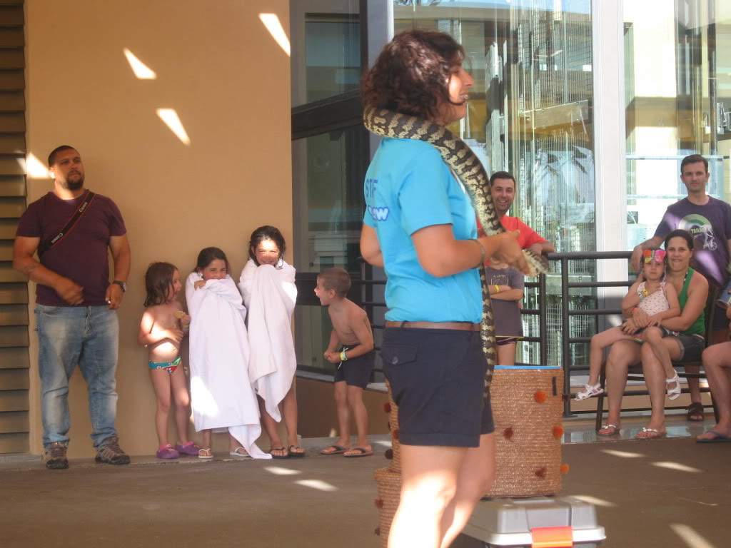 ai1277.photobucket.com_albums_y481_zzahir1977_IMG_4842_zps0c50b0b8.jpg