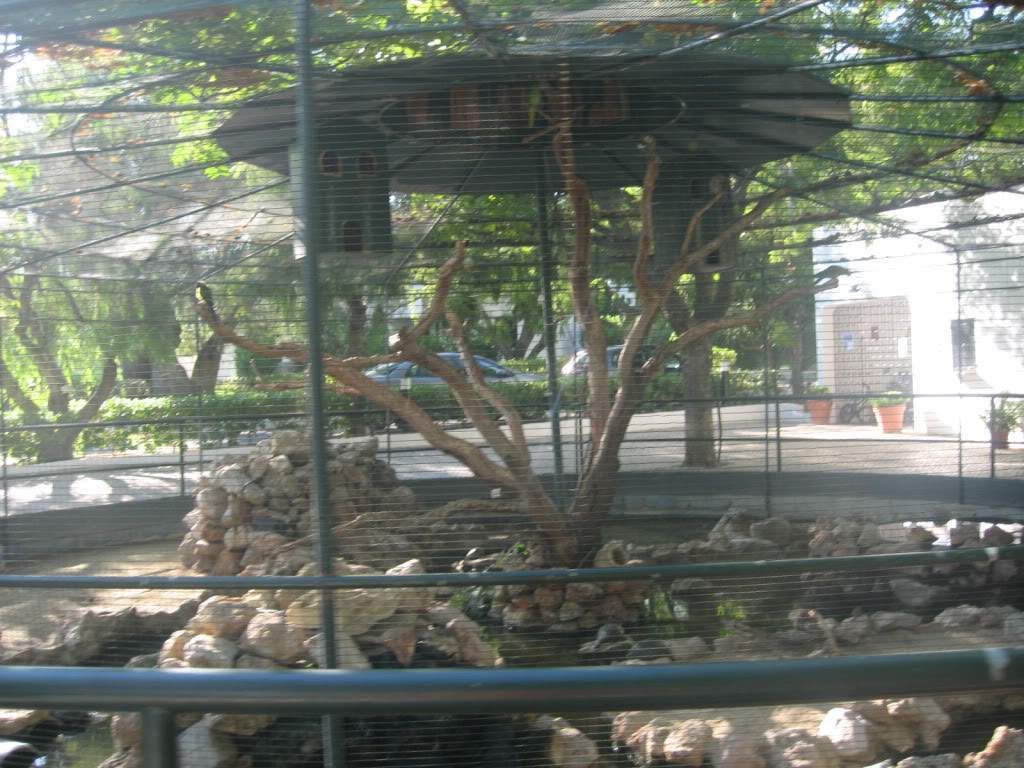 ai1277.photobucket.com_albums_y481_zzahir1977_IMG_5662_zps969d286f.jpg