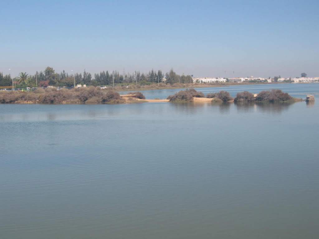 ai1277.photobucket.com_albums_y481_zzahir1977_IMG_5733_zps093dc2e7.jpg
