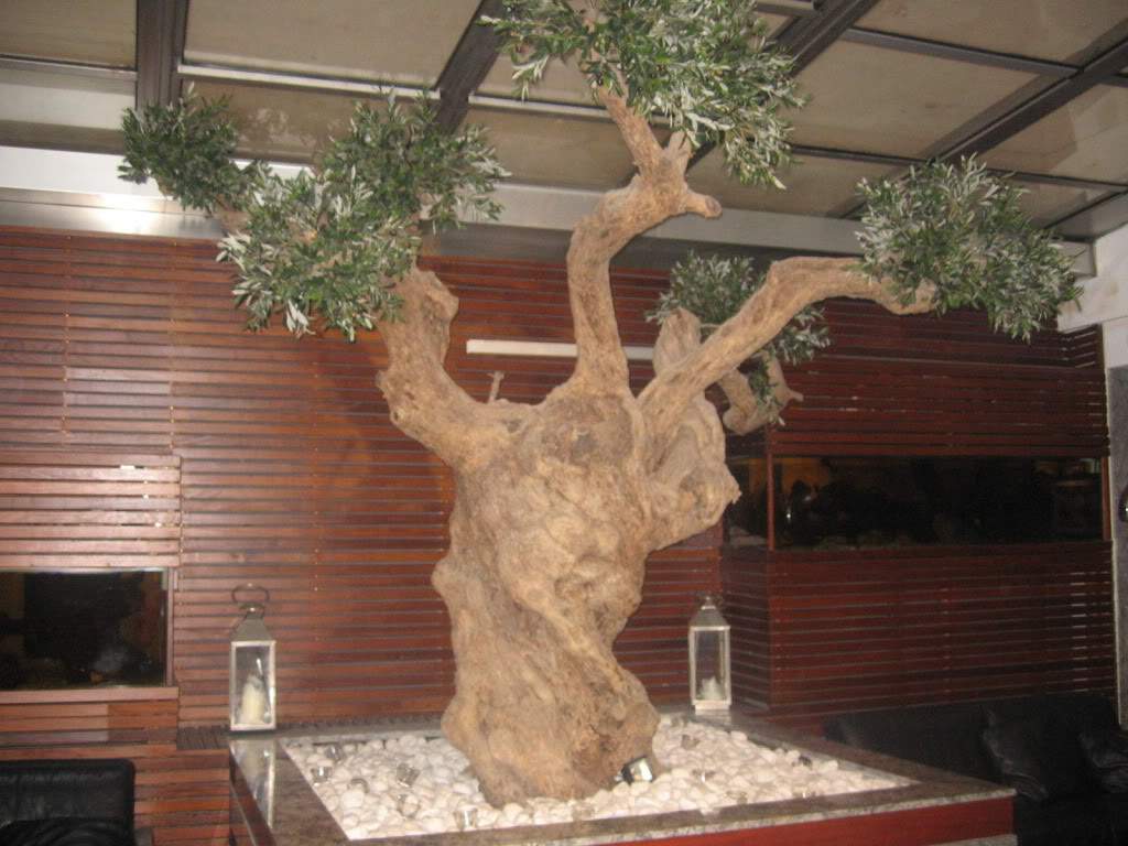 ai1277.photobucket.com_albums_y481_zzahir1977_IMG_5820_zps1437c0c2.jpg