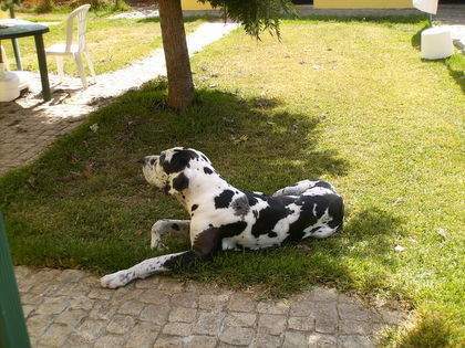 ai1278.photobucket.com_albums_y513_FabioCunha1991_447278__img_zps1215e42a.jpg