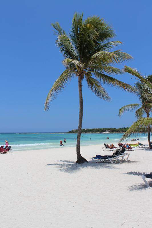 ai1281.photobucket.com_albums_a501_GomesAndre_IMG_1526_zpsc6127e44.jpg
