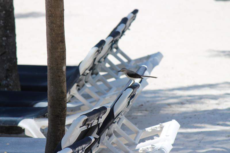 ai1281.photobucket.com_albums_a501_GomesAndre_IMG_1871_zpsc1fc4497.jpg