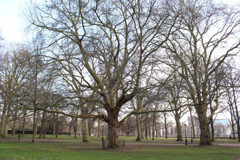 ai1281.photobucket.com_albums_a501_GomesAndre_Londres_IMG_2890_zpsuqsgbgju.jpg