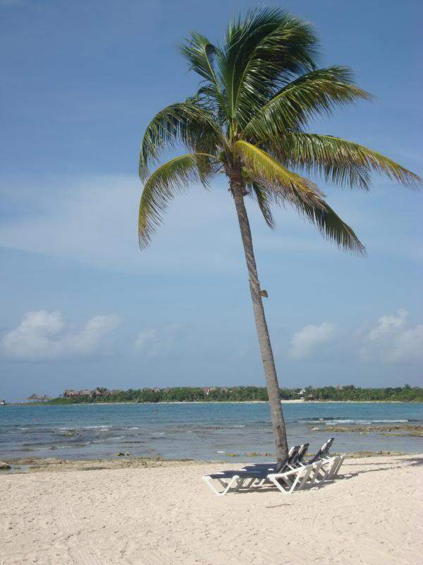 ai1281.photobucket.com_albums_a501_GomesAndre_Mexico_202012_19mx_zps7e89c948.jpg