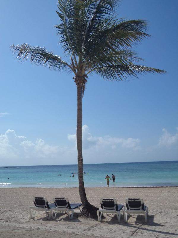 ai1281.photobucket.com_albums_a501_GomesAndre_Mexico_202012_25mx_zps018975e6.jpg