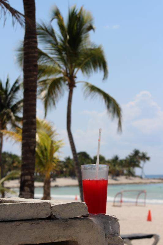 ai1281.photobucket.com_albums_a501_GomesAndre_Pos_20post_IMG_1789_zpsba474f6e.jpg