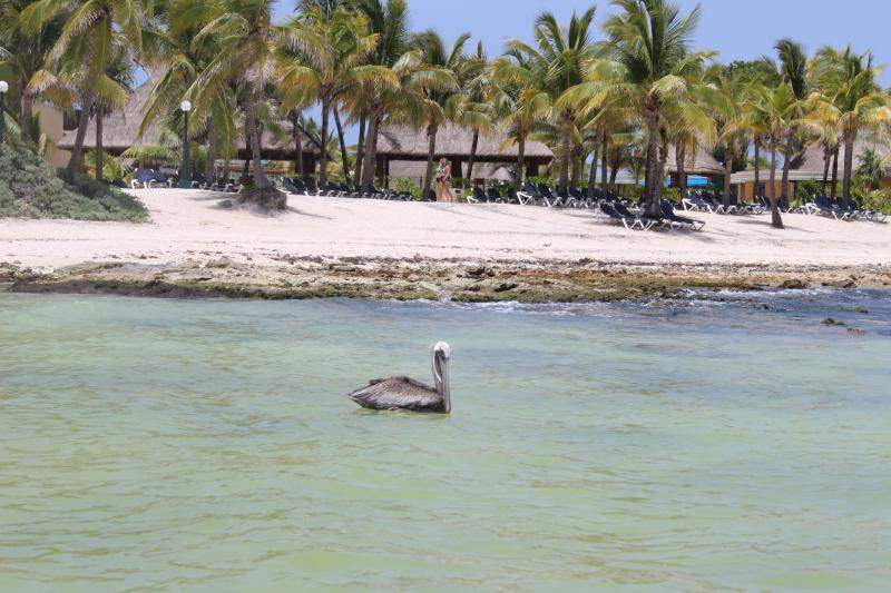 ai1281.photobucket.com_albums_a501_GomesAndre_Pos_20post_IMG_2367_zps49a67353.jpg