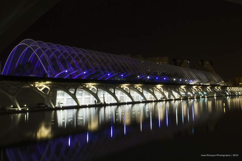 ai1281.photobucket.com_albums_a514_JoaoMarquesComino_IMG_4537_zpse692b324.jpg