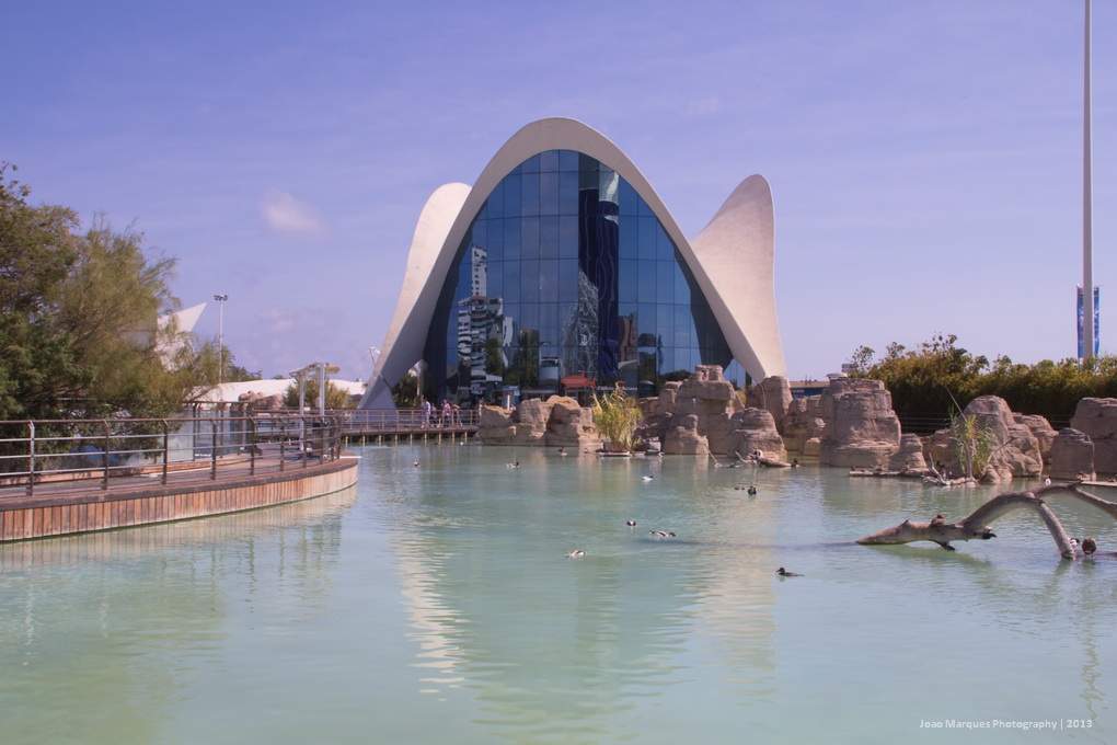 ai1281.photobucket.com_albums_a514_JoaoMarquesComino_IMG_4646_zps88d0ec4a.jpg