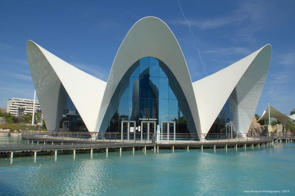 ai1281.photobucket.com_albums_a514_JoaoMarquesComino_IMG_4721_zps59942a74.jpg