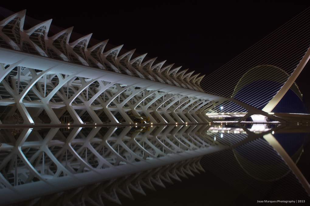 ai1281.photobucket.com_albums_a514_JoaoMarquesComino_IMG_4815_zpsb35cf5a0.jpg