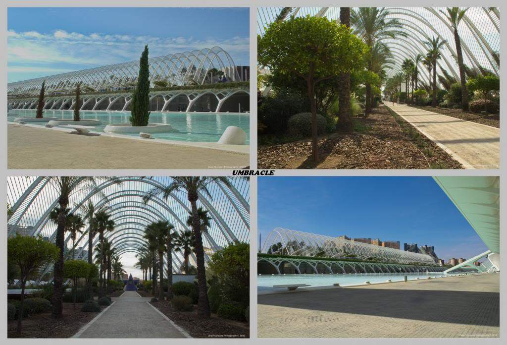ai1281.photobucket.com_albums_a514_JoaoMarquesComino_umbracle_zps8fc7f2be.jpg