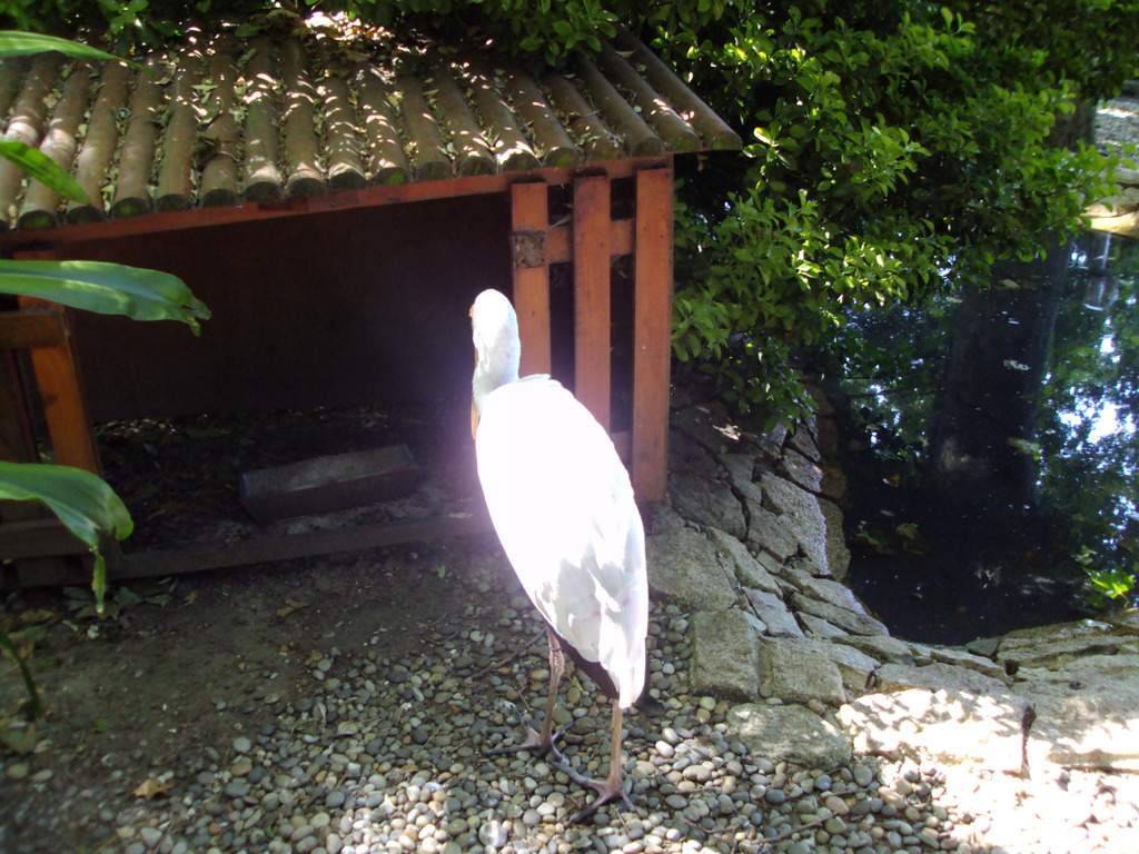 ai1289.photobucket.com_albums_b511_diogobarros8_Maia_DSC01093_zpsrrpcbvqw.jpg