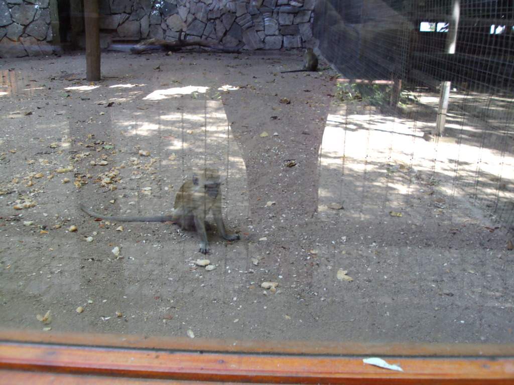 ai1289.photobucket.com_albums_b511_diogobarros8_Maia_DSC01128_zpsmgyehuu4.jpg
