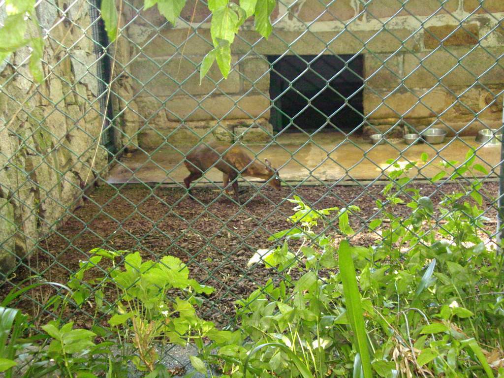 ai1289.photobucket.com_albums_b511_diogobarros8_Maia_DSC01140_zpsdzv5oaxf.jpg