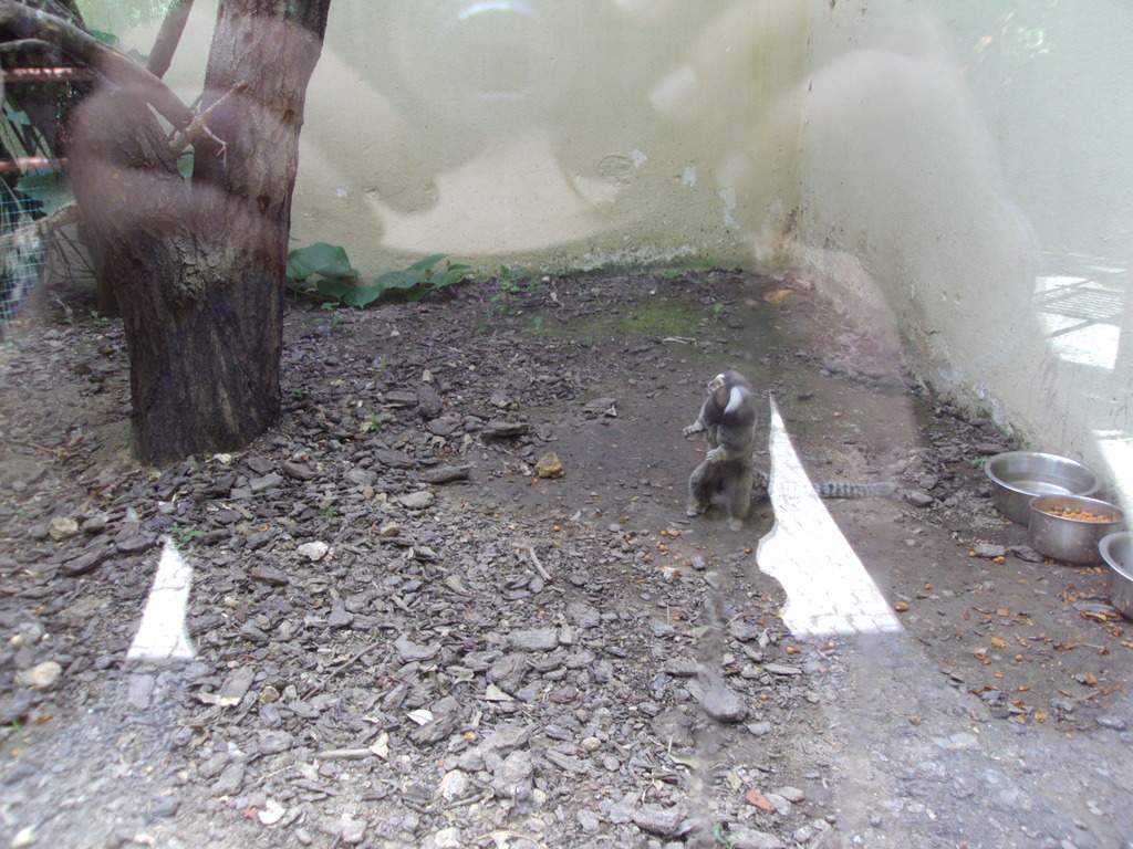 ai1289.photobucket.com_albums_b511_diogobarros8_Maia_DSC01188_zpsc1wt8hlm.jpg