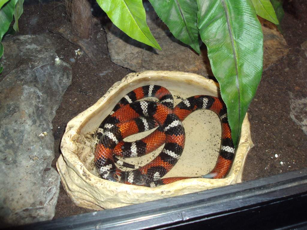 ai1289.photobucket.com_albums_b511_diogobarros8_Maia_DSC01241_zpsgheobqs0.jpg
