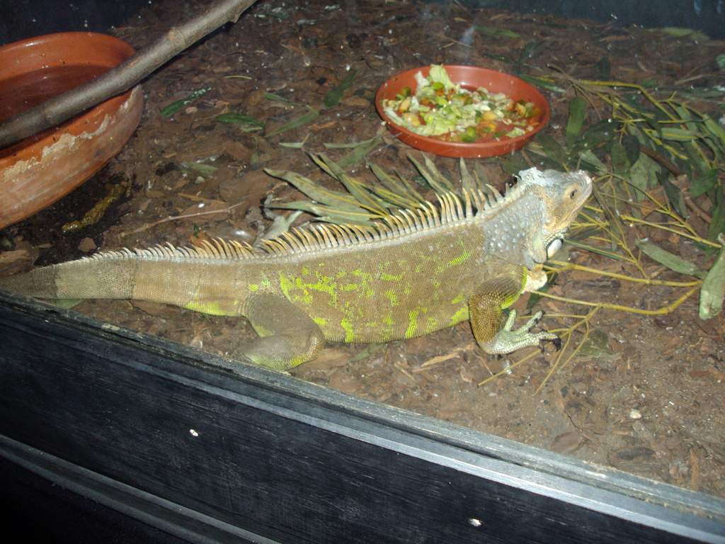 ai1289.photobucket.com_albums_b511_diogobarros8_Maia_DSC01243_zpsp7s2wejp.jpg