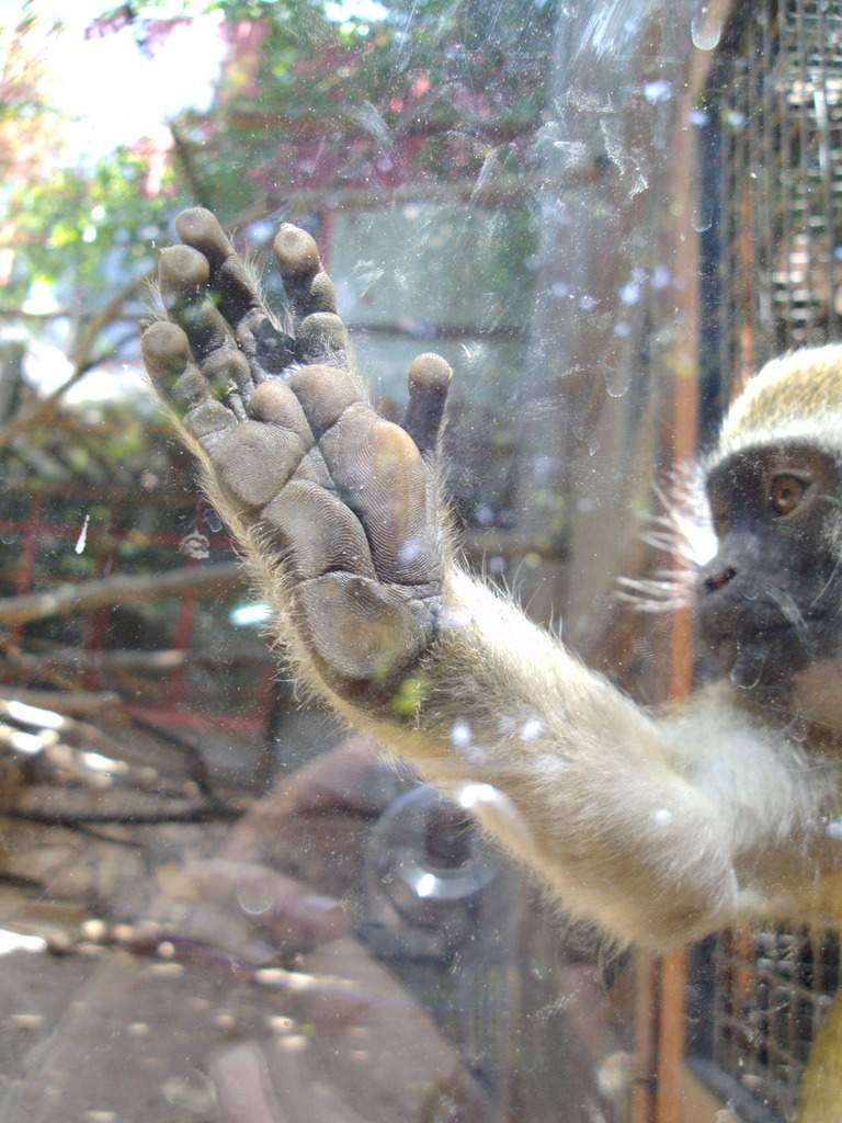 ai1289.photobucket.com_albums_b511_diogobarros8_Maia_DSC01336_zpsf8tmuxgt.jpg