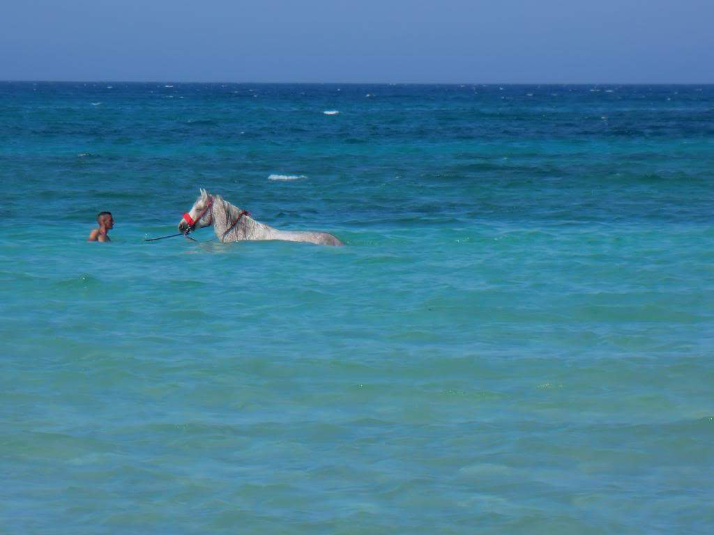 ai1292.photobucket.com_albums_b570_edziga_CIMG3138_zps058c213d.jpg