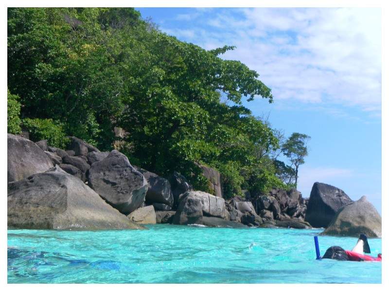 ai1294.photobucket.com_albums_b615_Maliika25_Tailandia_Coral_SAM_0288_zps1ca67afb.jpg