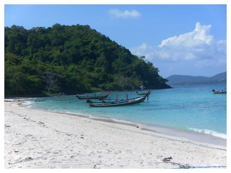 ai1294.photobucket.com_albums_b615_Maliika25_Tailandia_Coral_SAM_0509_zps7194bc5f.jpg
