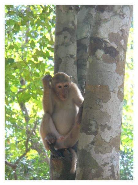 ai1294.photobucket.com_albums_b615_Maliika25_Tailandia_erawan_SAM_0208_zps361b4be6.jpg