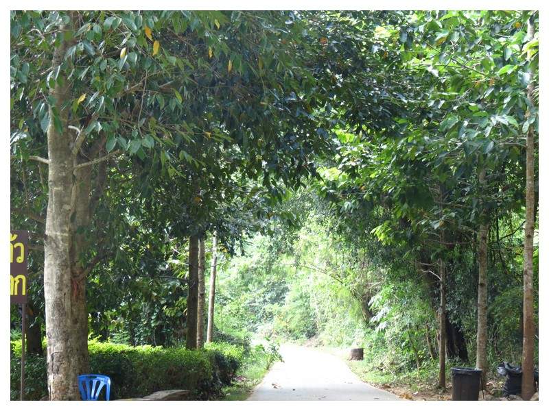 ai1294.photobucket.com_albums_b615_Maliika25_Tailandia_erawan_tailandia336_zps46a63e25.jpg