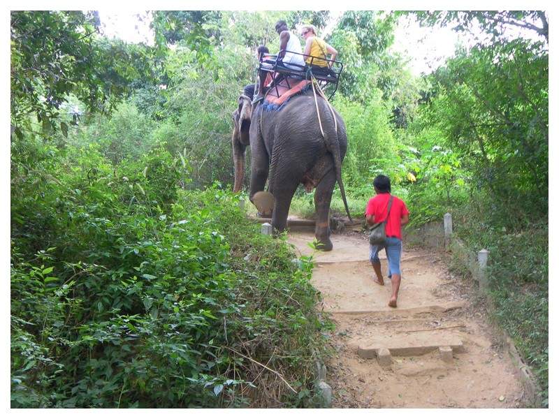 ai1294.photobucket.com_albums_b615_Maliika25_Tailandia_SAM_0223_zps17e2c60c.jpg
