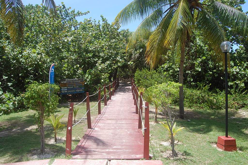 ai1298.photobucket.com_albums_ag55_aaalex2_cuba_202017_DSC_0856_zpsvjx19wv9.jpg