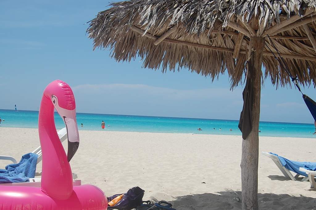 ai1298.photobucket.com_albums_ag55_aaalex2_cuba_202017_DSC_0948_zpsgztaoe6w.jpg