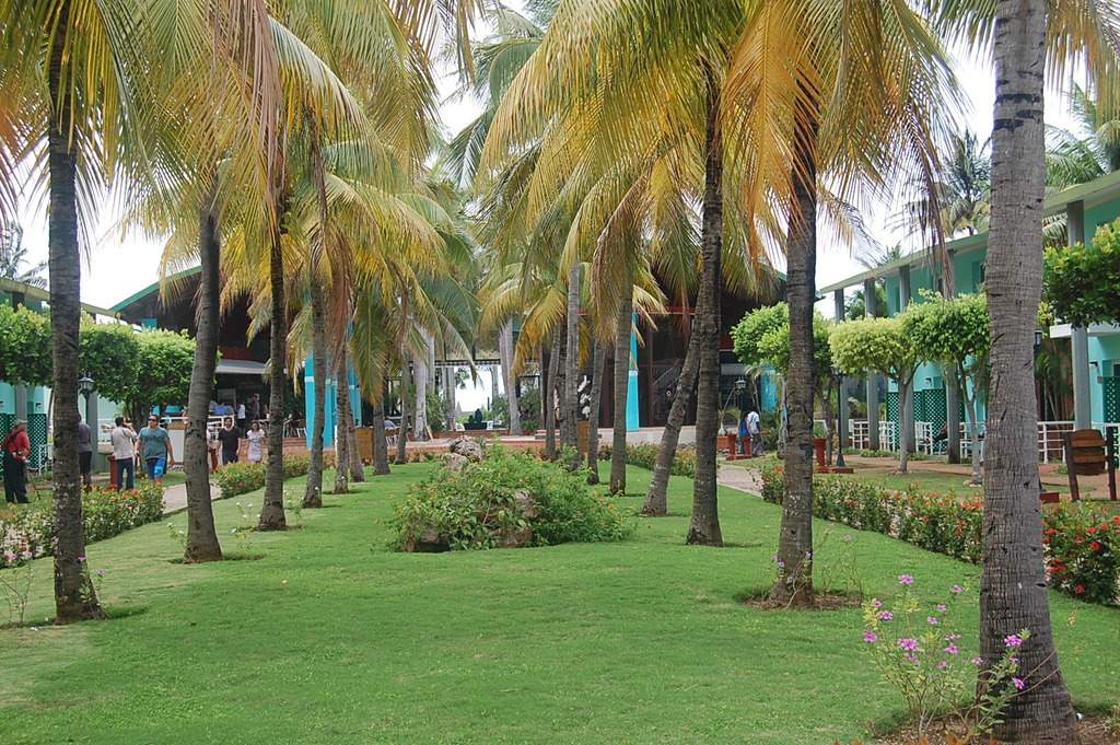 ai1298.photobucket.com_albums_ag55_aaalex2_cuba_202017_DSC_0988_zpstqqqckmf.jpg