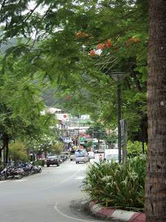 ai1306.photobucket.com_albums_s566_Rita_Chambel_DSC02731.jpg