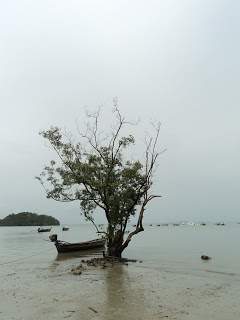 ai1306.photobucket.com_albums_s566_Rita_Chambel_DSC02768.jpg