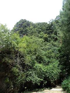 ai1306.photobucket.com_albums_s566_Rita_Chambel_DSC02773_1.jpg
