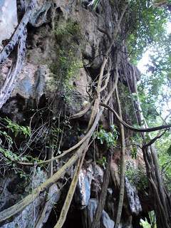 ai1306.photobucket.com_albums_s566_Rita_Chambel_DSC02839_1.jpg